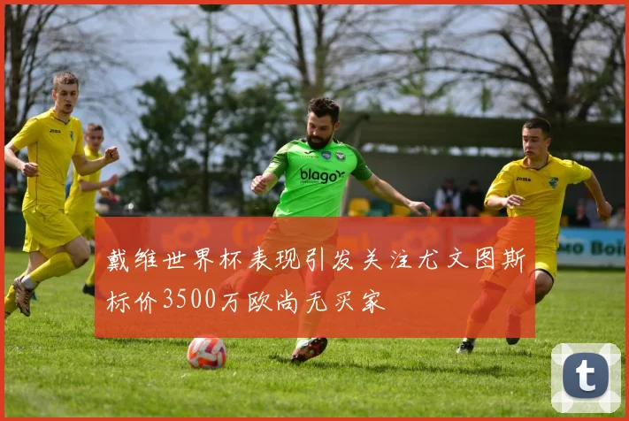 戴维世界杯表现引发关注尤文图斯标价3500万欧尚无买家
