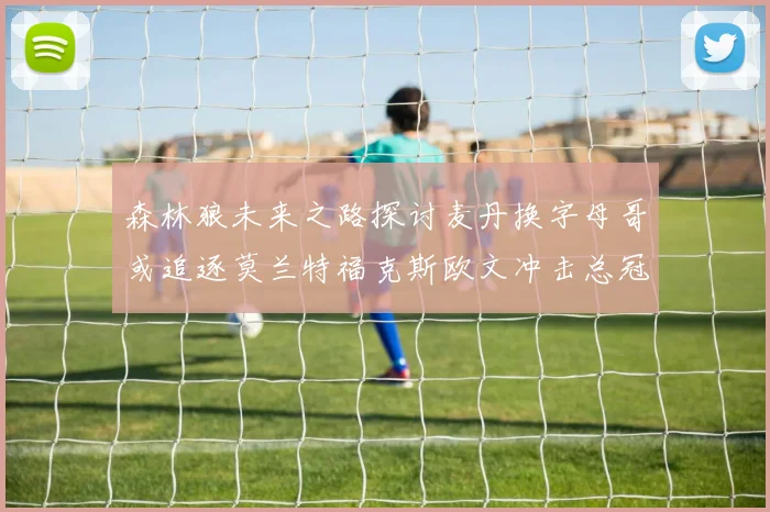 森林狼未来之路探讨麦丹换字母哥或追逐莫兰特福克斯欧文冲击总冠军