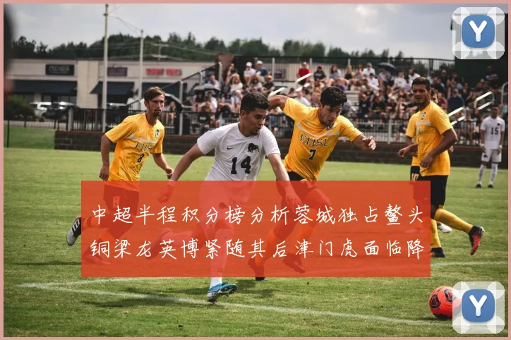 中超半程积分榜分析蓉城独占鳌头铜梁龙英博紧随其后津门虎面临降级危机